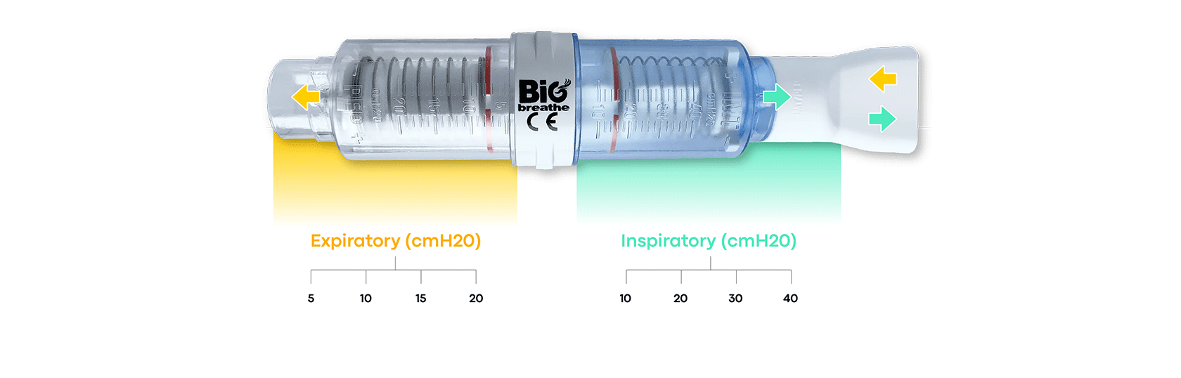 Exhalation and Inhalation Flow